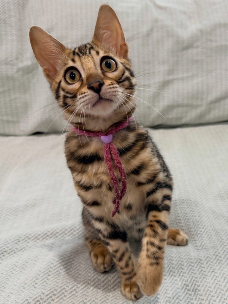 zuri